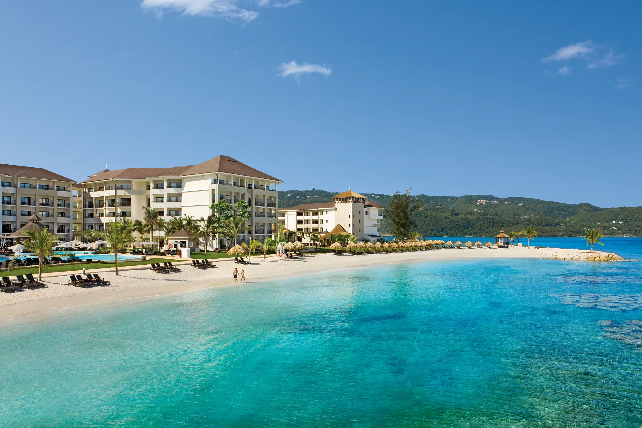 SECRETS WILD ORCHID